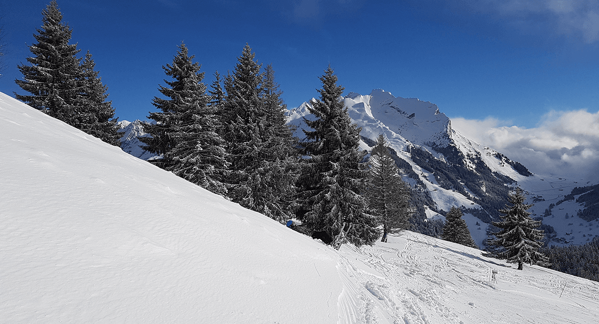 visuel Top 10 des randonnées en raquettes dans les Alpes