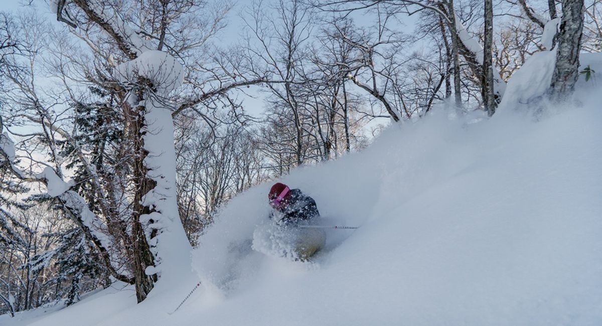 Ski au Japon : tout savoir
