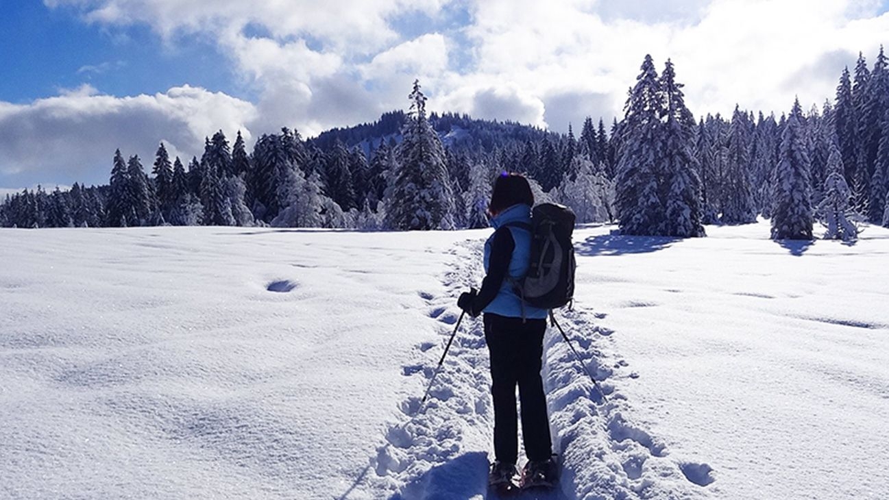 Randonnées en raquettes à neige dans les Vosges